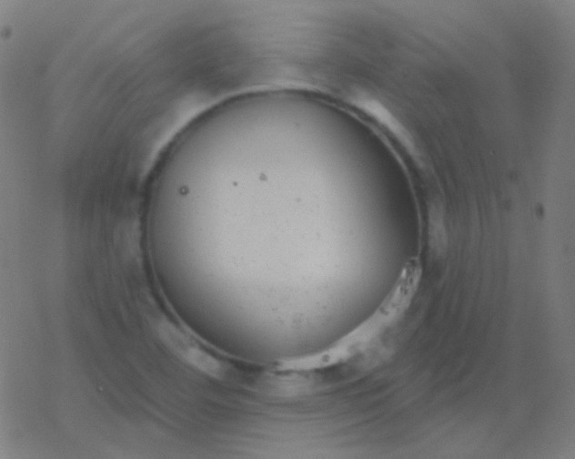 X0000077371460200611101652