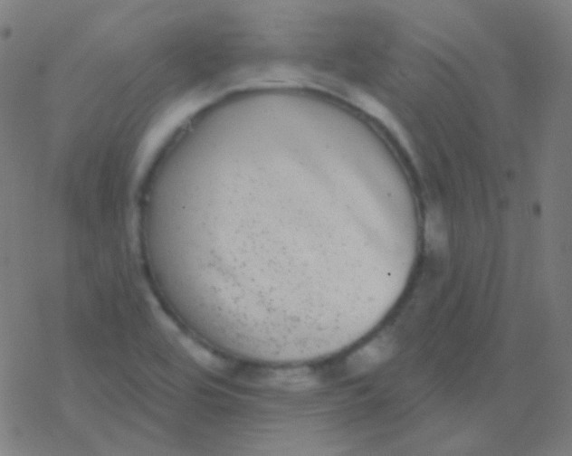 X0000077371464200611101652