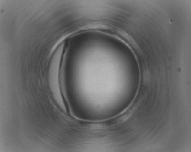 X0000077371465200611101652