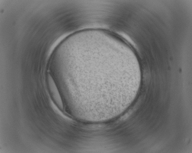 X0000077371468200611101652