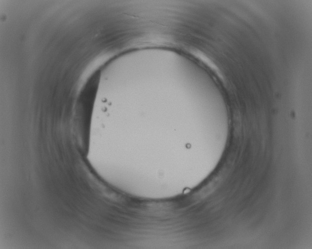 X0000077371469200611101652