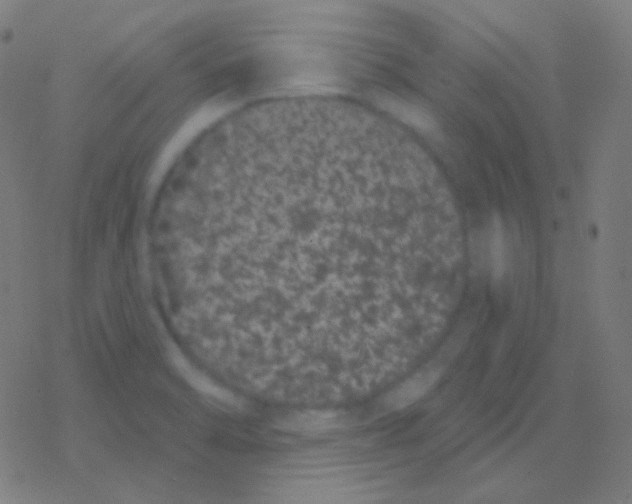 X0000077371470200611101652