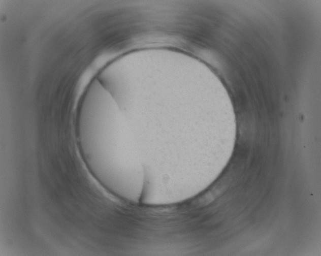 X0000077371472200611101652