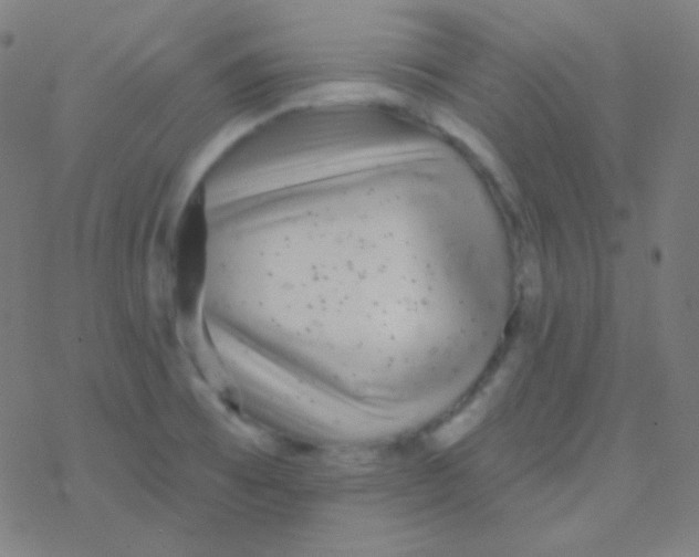 X0000077371473200611101652