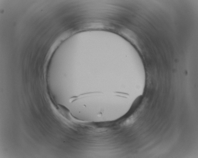 X0000077371475200611101652