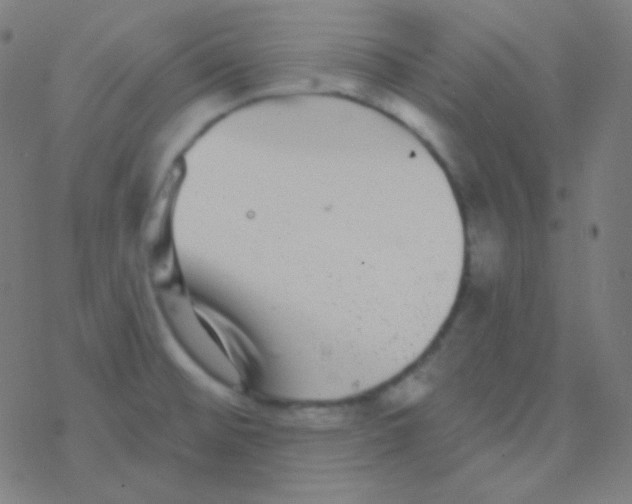 X0000077371476200611101652