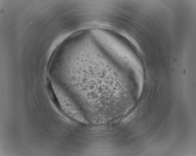 X0000077371477200611101652