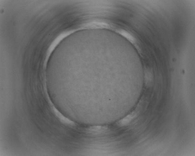 X0000077371478200611101652