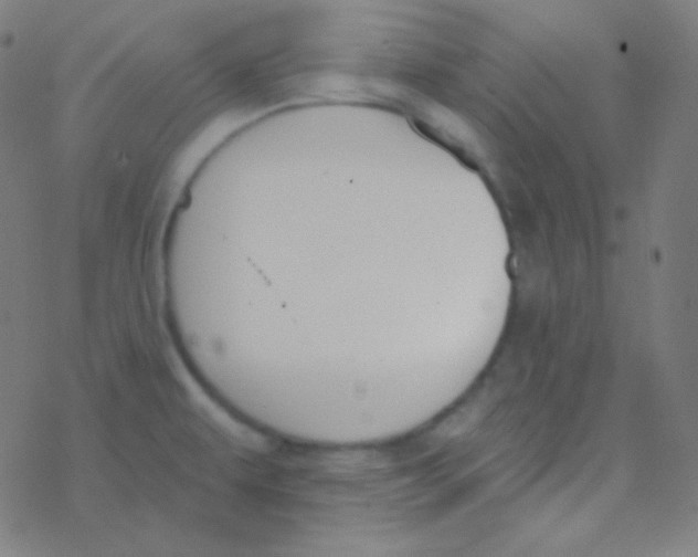 X0000077371479200611101652