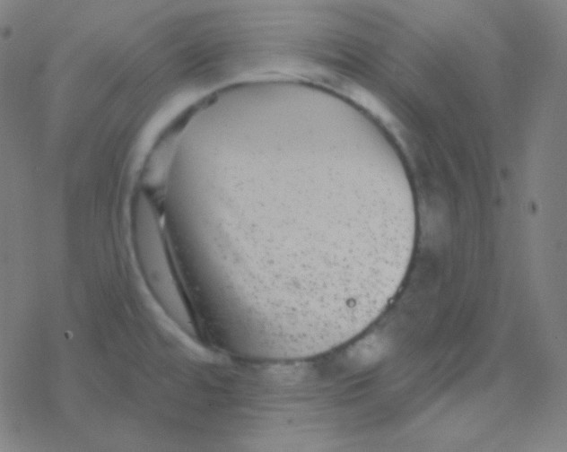 X0000077371480200611101652