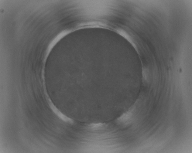 X0000077371482200611101652