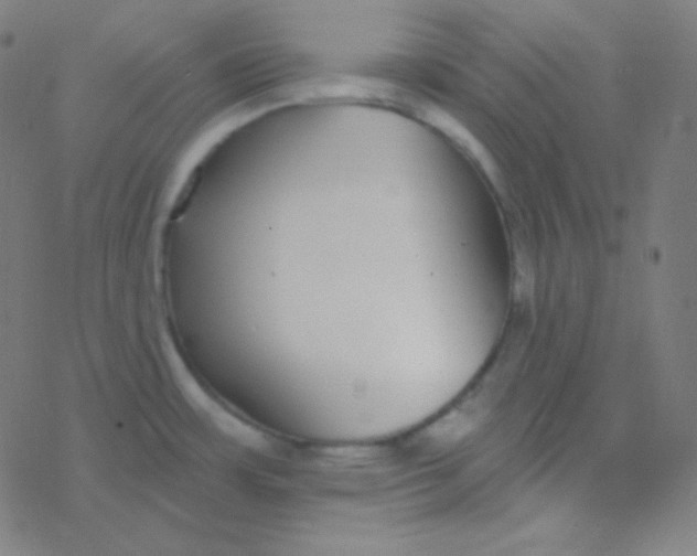 X0000077371483200611101652