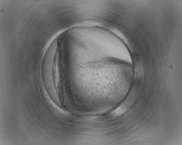 X0000077371484200611101652