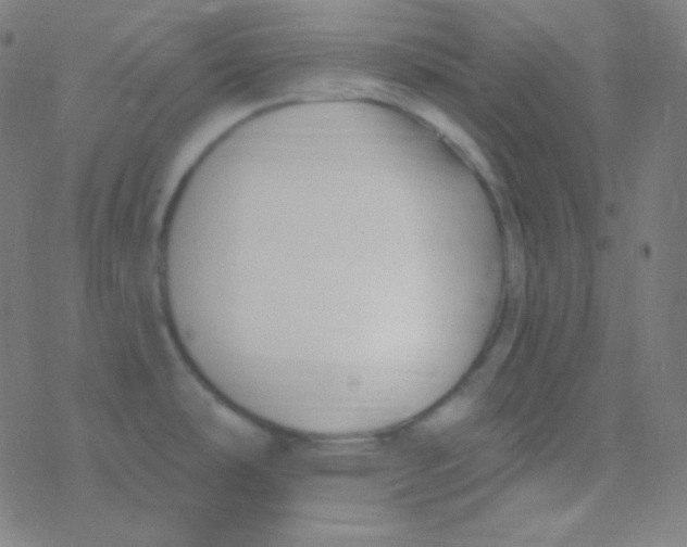 X0000077371486200611101651