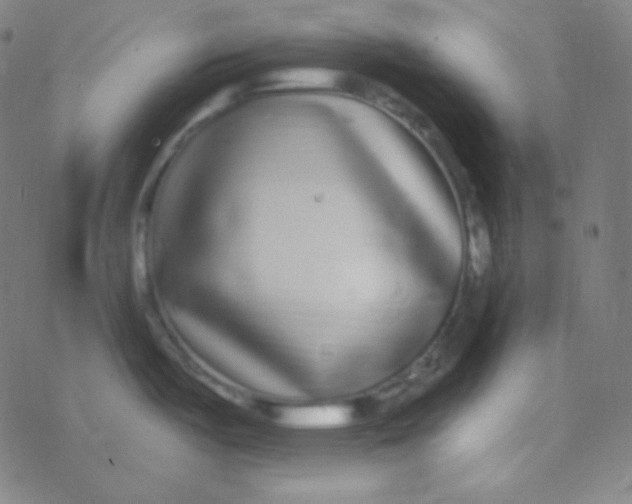 X0000077371487200611101651