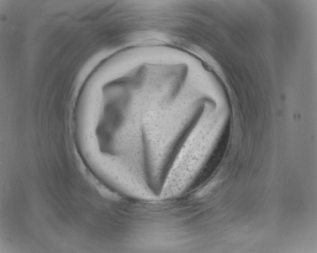 X0000077371488200611101651