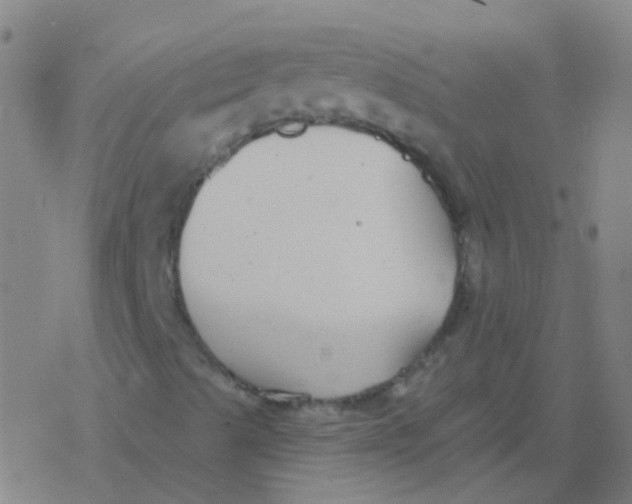 X0000077371489200611101651