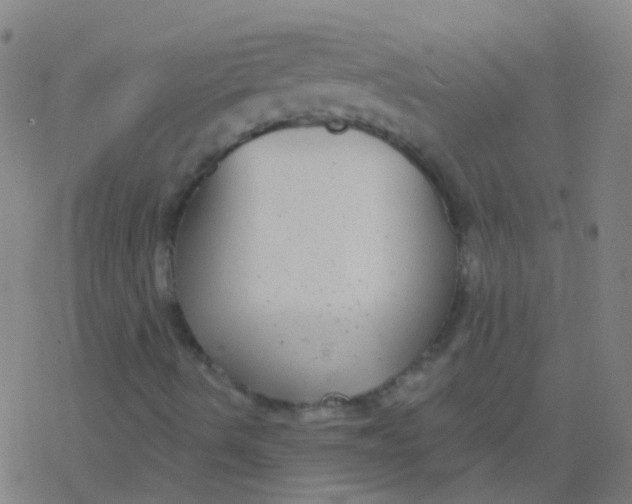 X0000077371490200611101651