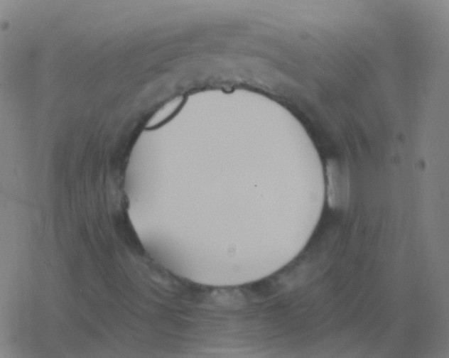 X0000077371491200611101651