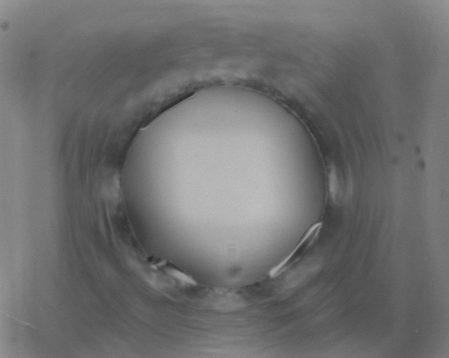 X0000077371492200611101651