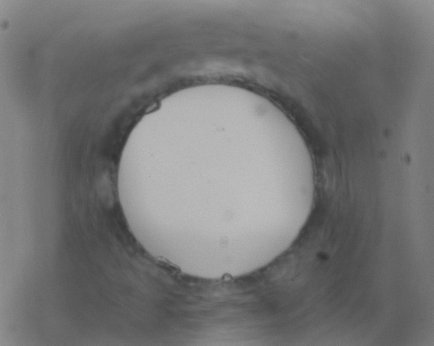 X0000077371493200611101651