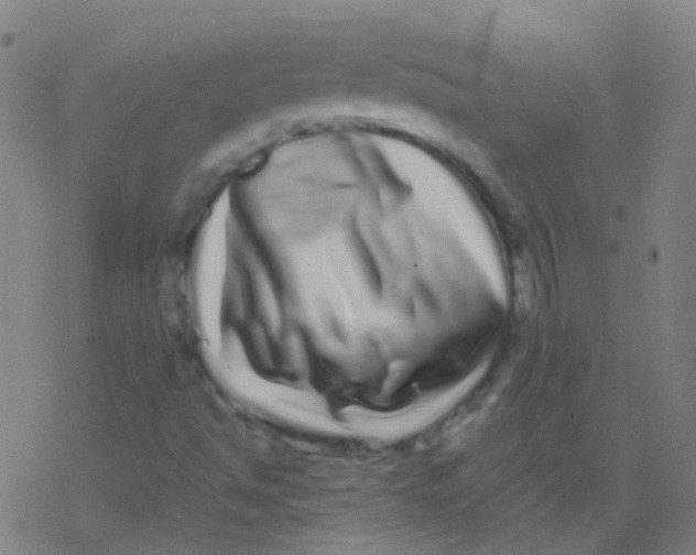 X0000077371494200611101651