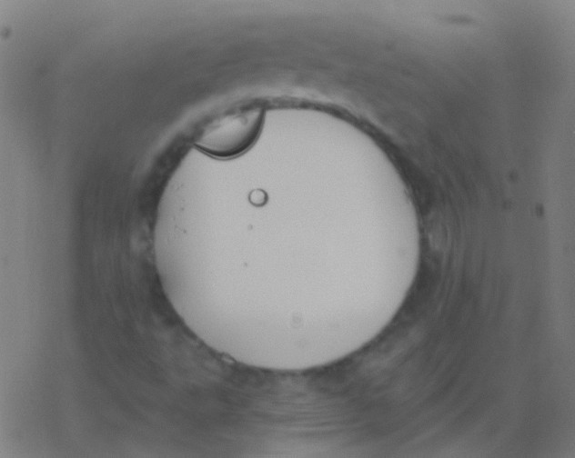 X0000077371495200611101651