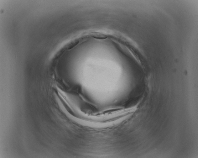 X0000077371496200611101651