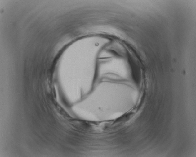 X0000077371497200611101651