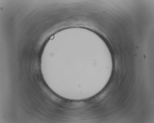 X0000077371498200611101651