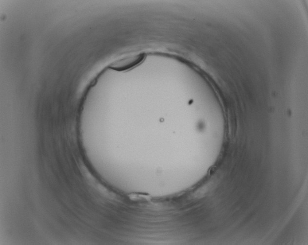 X0000077371500200611101651