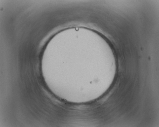 X0000077371502200611101651