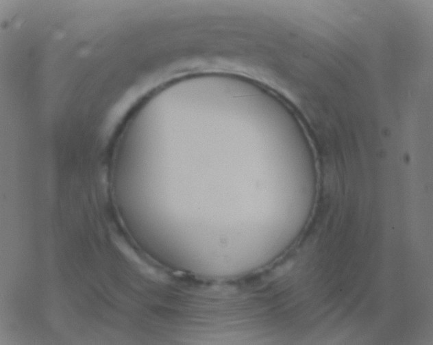 X0000077371503200611101651