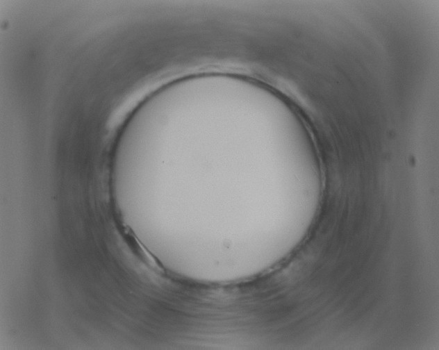 X0000077371504200611101651