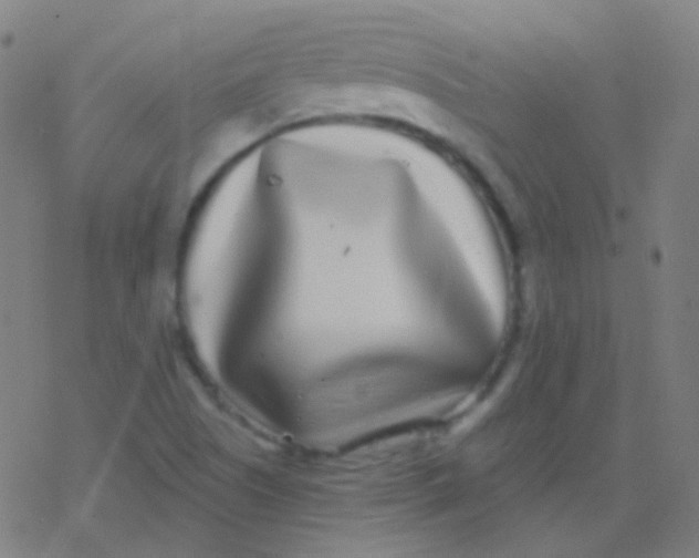 X0000077371505200611101651