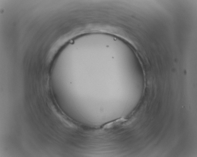 X0000077371507200611101651