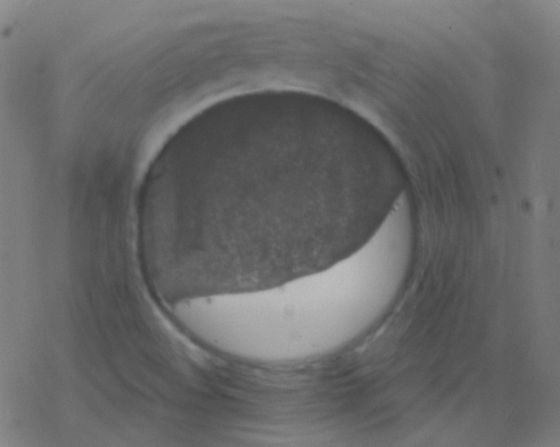 X0000077371508200611101651