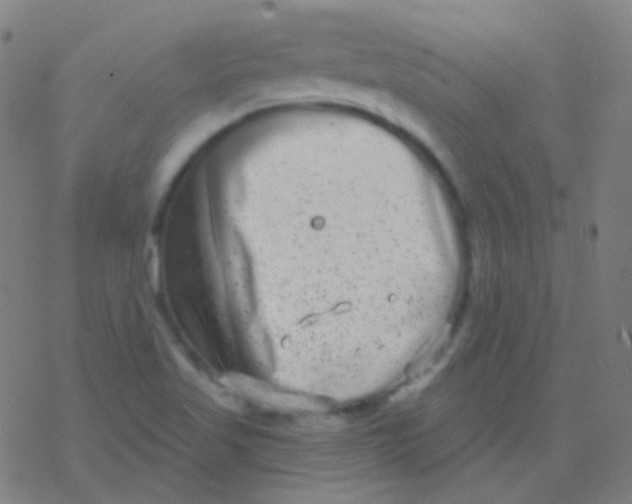 X0000077371509200611101651