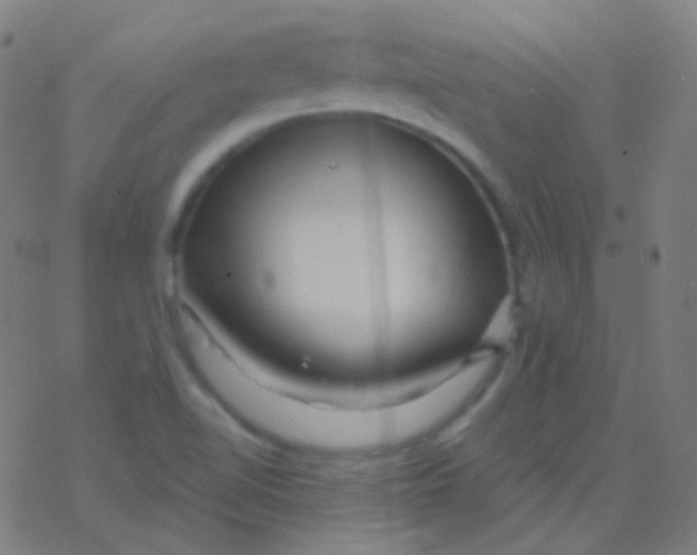 X0000077371510200611101651