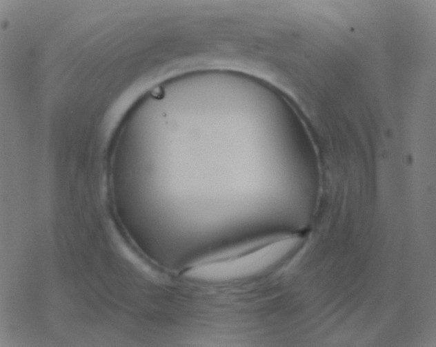 X0000077371511200611101651