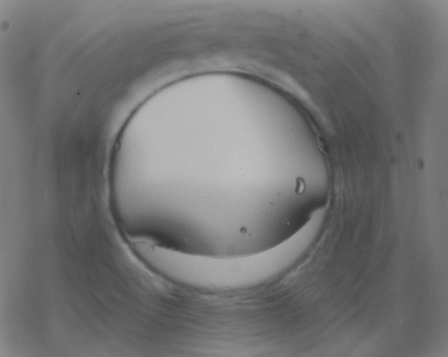 X0000077371512200611101651