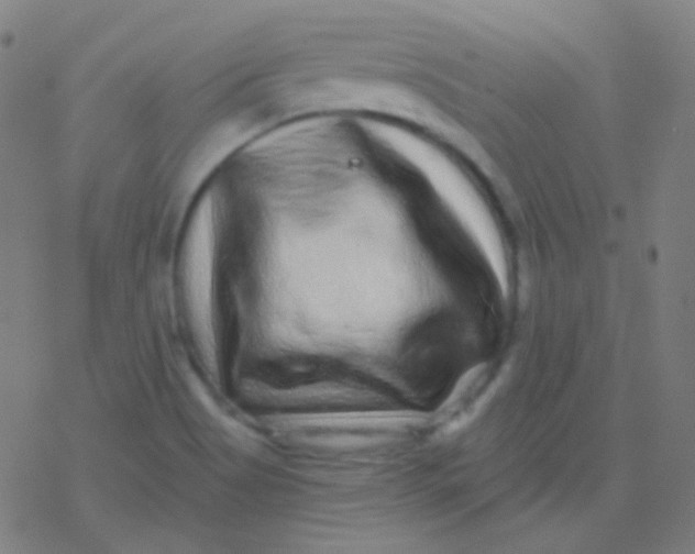 X0000077371513200611101651