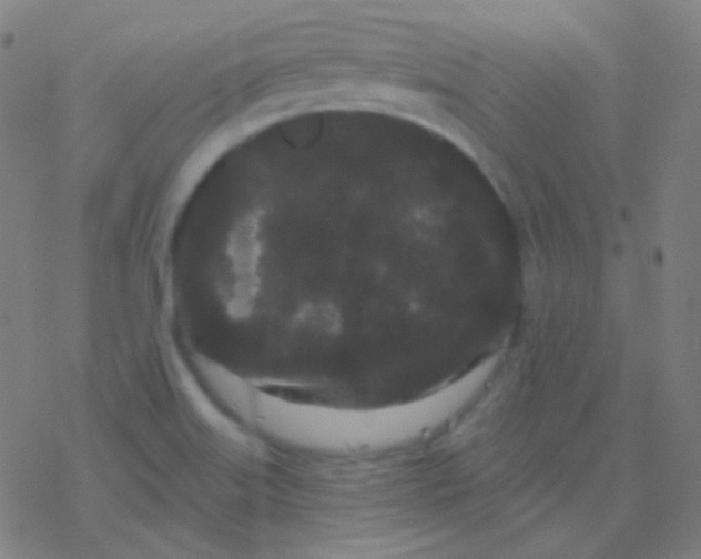 X0000077371515200611101651