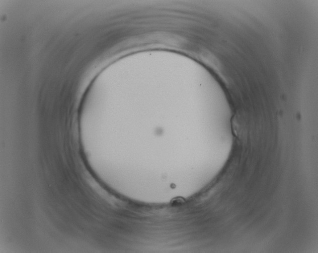 X0000077371516200611101651