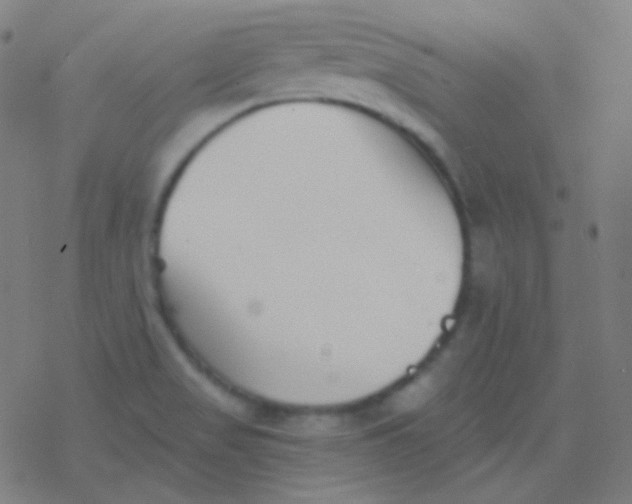 X0000077371517200611101651