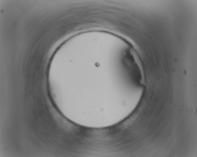 X0000077371518200611101651