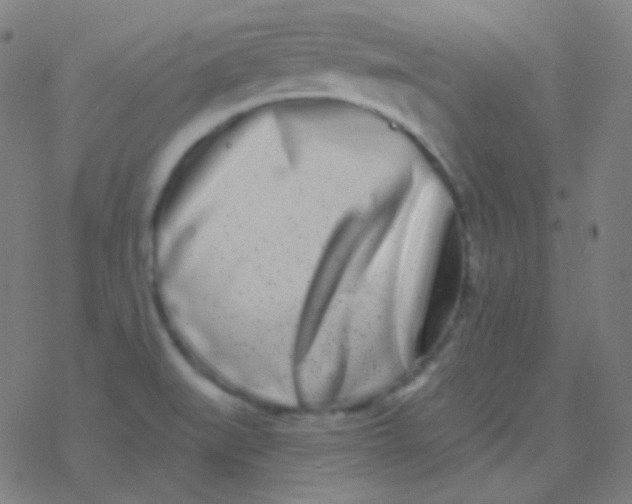 X0000077371519200611101651