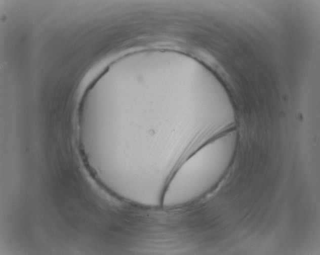 X0000077371520200611101651