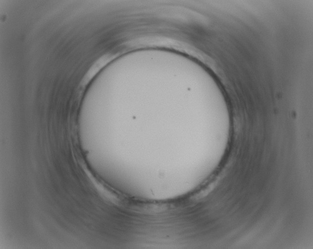 X0000077371521200611101651