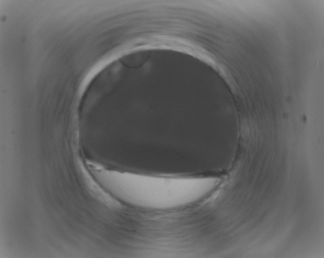 X0000077371522200611101651